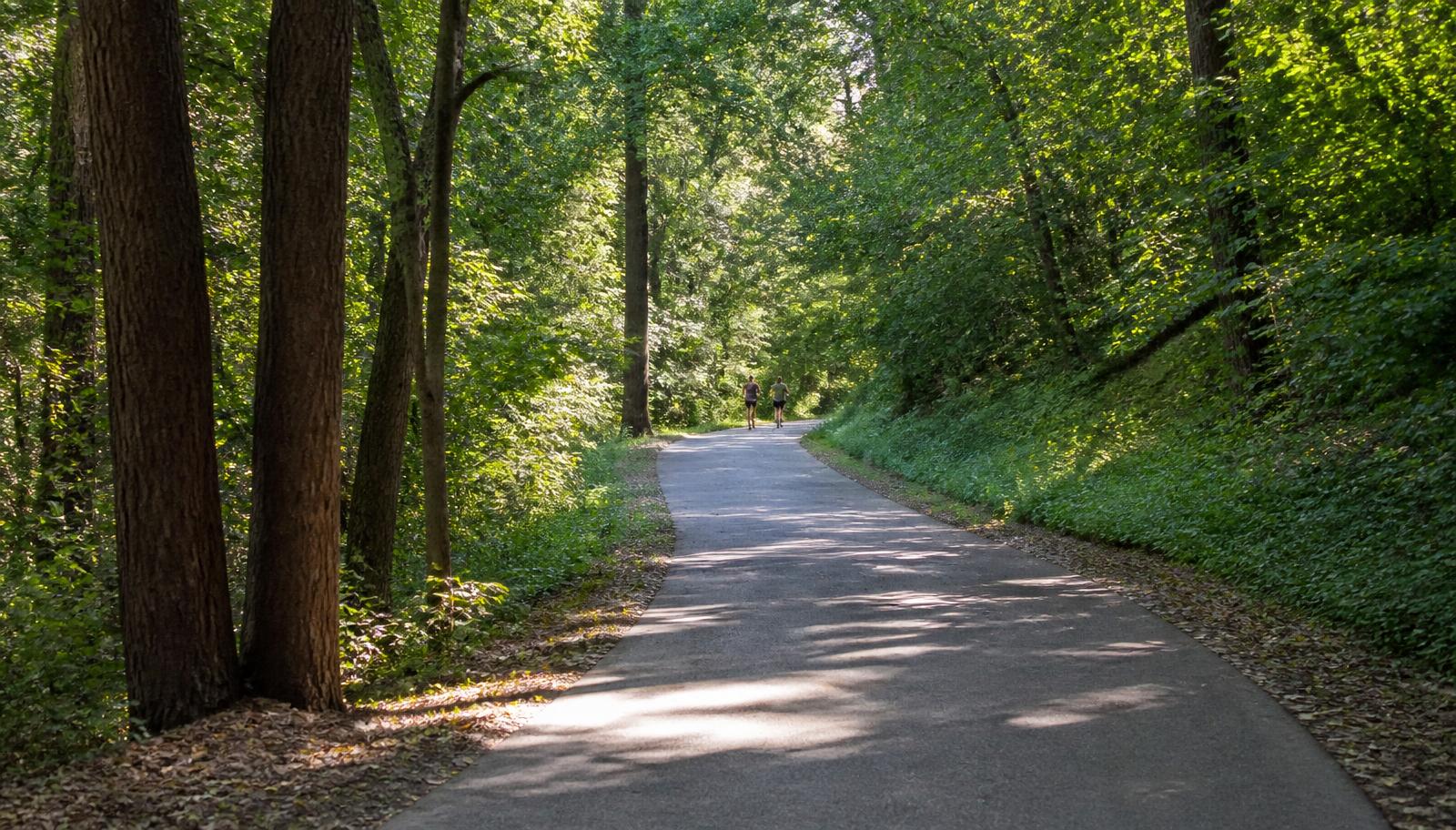 Paved greenway trail curving through hardwood forest inside a city park