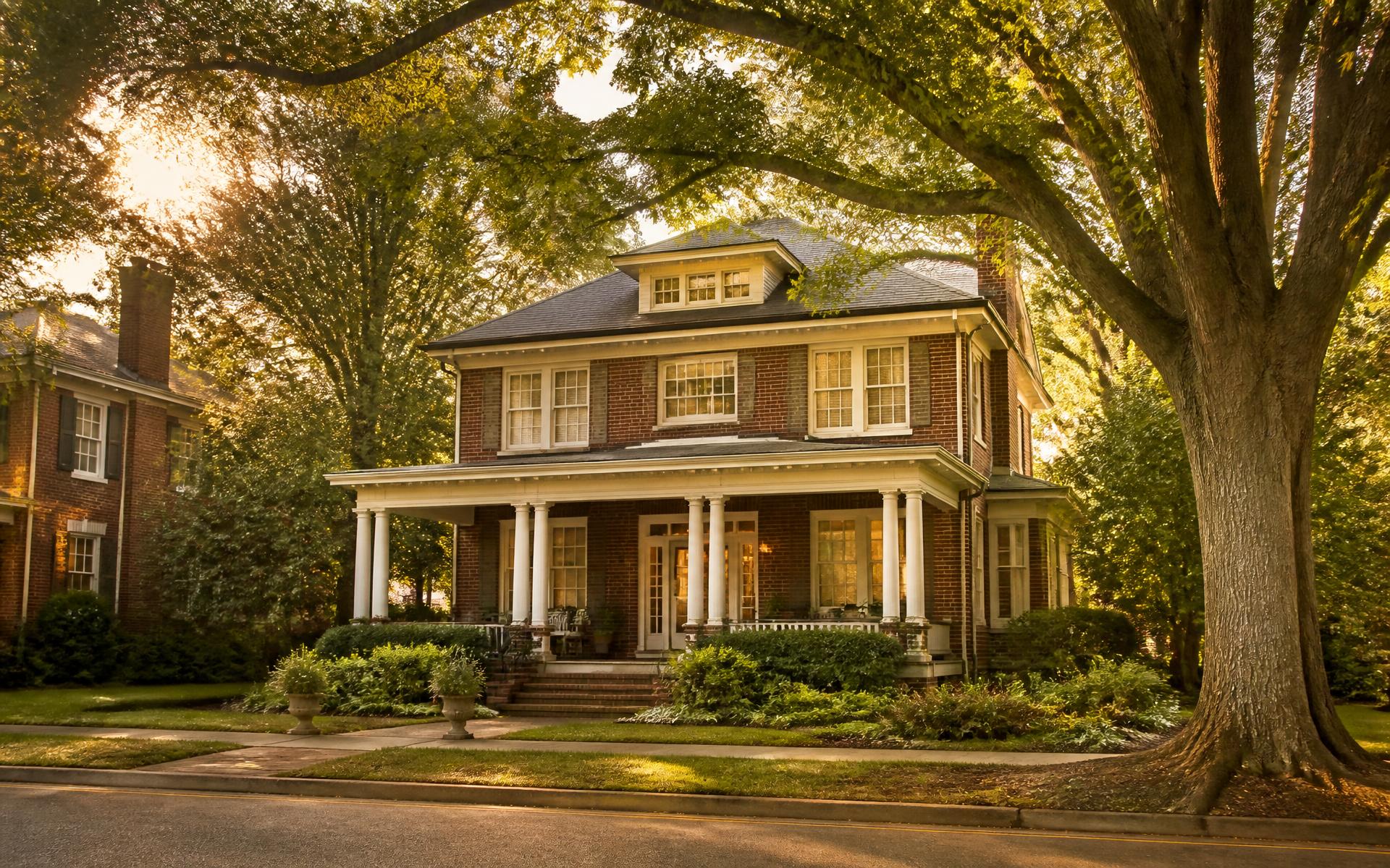 Willow oaks arching over a bungalow street in Elizabeth, Charlotte