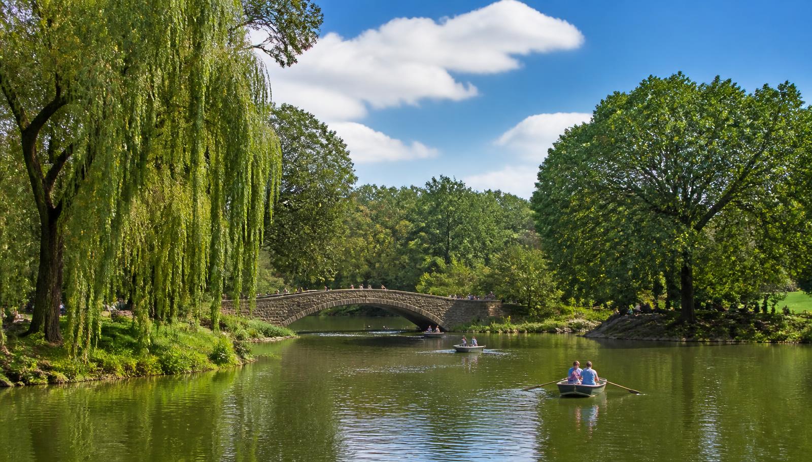 City park lake with a stone arch footbridge, rowboats, and weeping willows